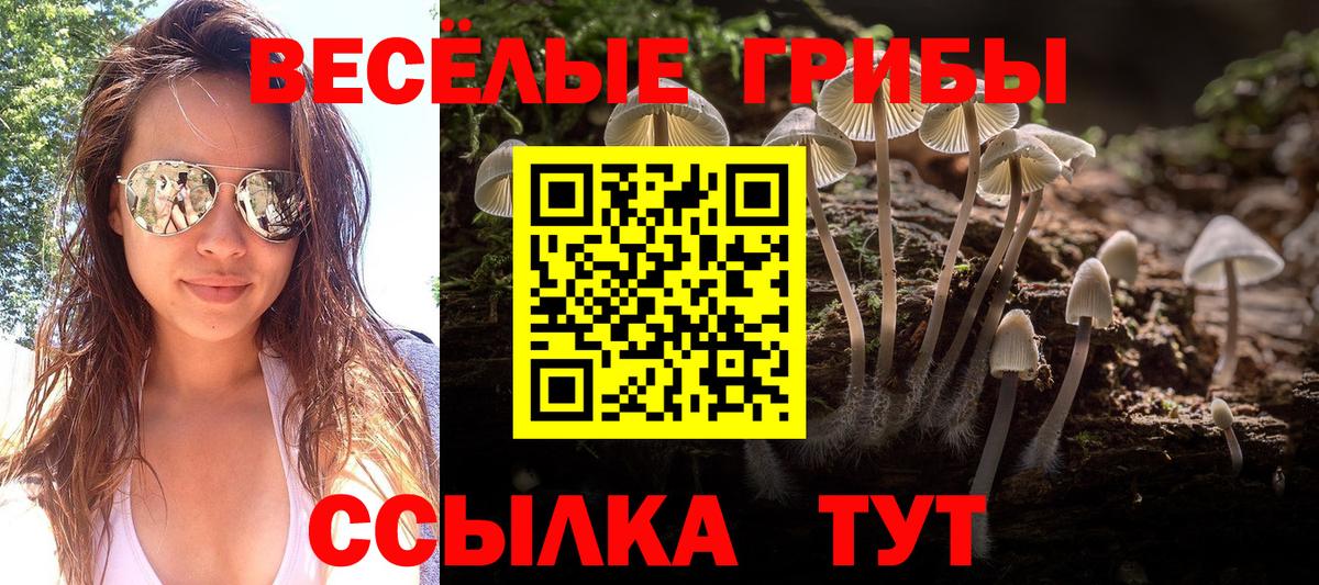 Галлюциногенные грибы MAGIC MUSHROOMS  Вход с VPN  хочу наркоту  Архангельск 