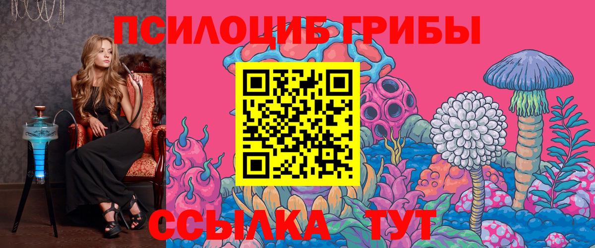 Галлюциногенные грибы Cubensis Архангельск